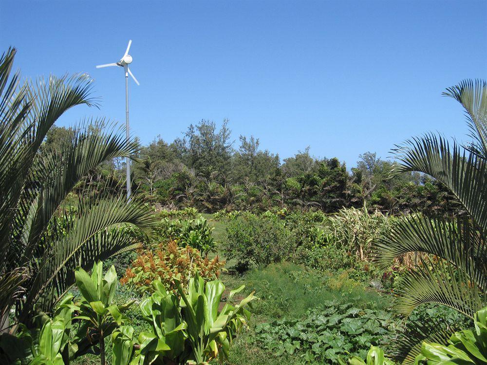 Hawaii Island Retreat At Ahu Pohaku Ho'Omaluhia Villa Kapaau Exteriör bild