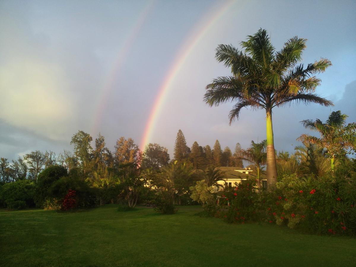 Hawaii Island Retreat At Ahu Pohaku Ho'Omaluhia Villa Kapaau Exteriör bild